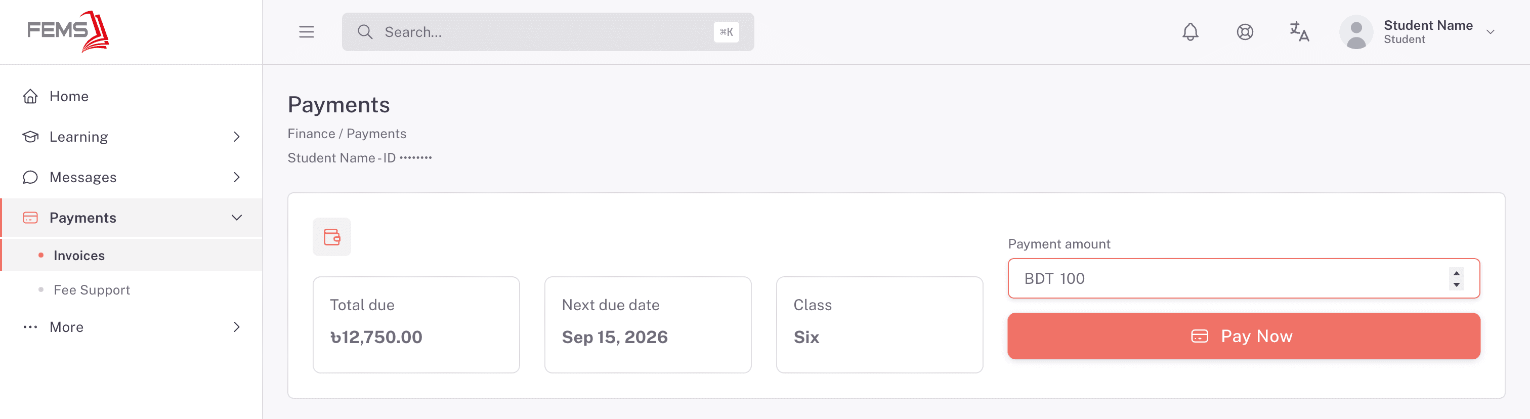 Payment amount entered before selecting Pay Now